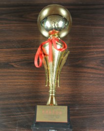 2005年度天津市河西區工商聯先進會員企業獎杯